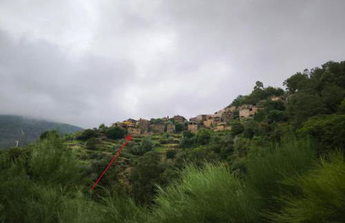 Cantinho do Talasnal - Foto 25