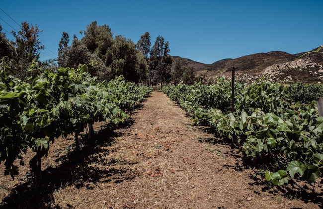 Rancho Toros Pintos - Foto 25