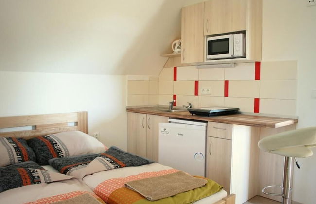 PENZION POD PALAVU - Photo 10