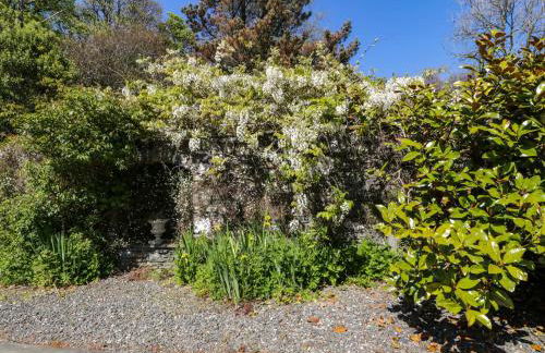 Claymoddie - Foto 45