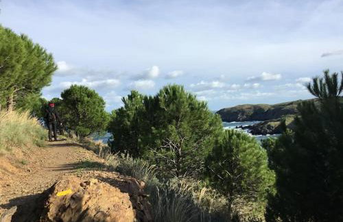 Vue mer, crique de Peyrefite, Cerbère-Banyuls. - Foto 27
