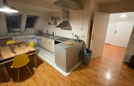 Großzügige Maisonette Wohnung über den Dächern Leipzigs - Foto 3