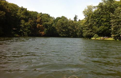 Peeneurlaub - Foto 28