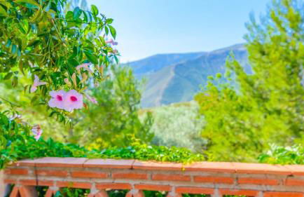 Cortijo El Olivar Órgiva by Ruralidays - Foto 6