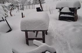 Ferienhof Ziegler- Sonnenschein - Foto 43