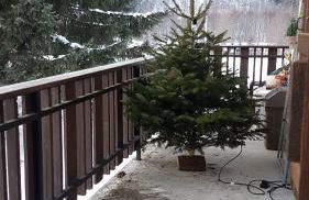 Appartement Native - Photo 21