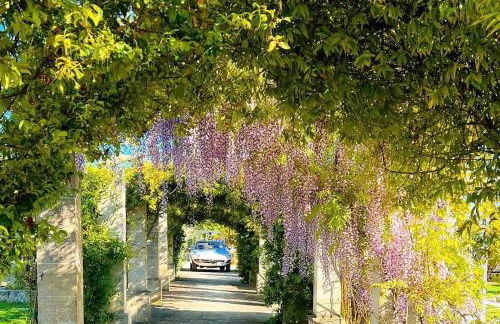 Masseria Vittoria - Foto 7