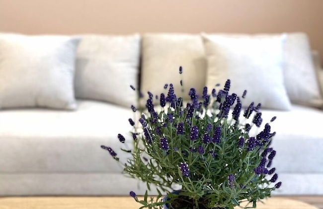 Vinhomes Grand Park Homes by Christine - Foto 59