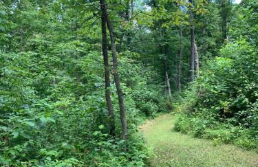 Fern Hill Cabin - Foto 40