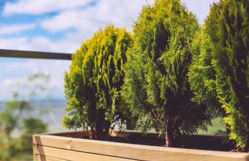 Apartamenty Kuźnica "Morska 8" - Foto 29