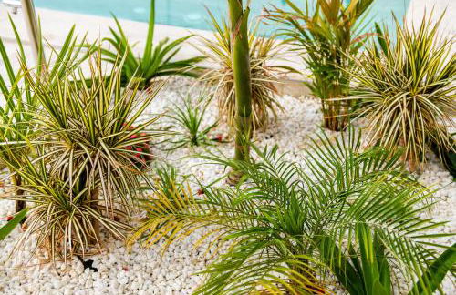 Villa Deluxe Suites Maspalomas - Photo 56