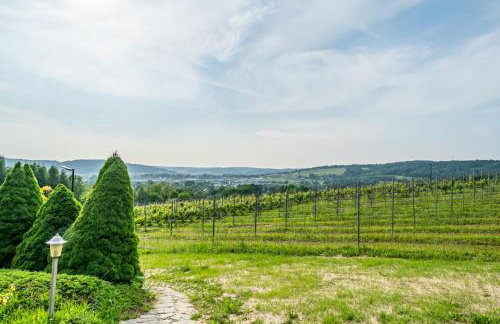 Domki Winne Tarasy - Foto 32