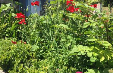 Ocean Drive Deluxe Apartment with complimentary Day Time Beach hut - Foto 75