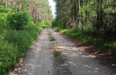 Dom Pod Żurawiami - Foto 27