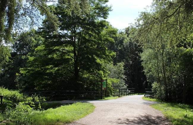 Résidence Carouge - Foto 25