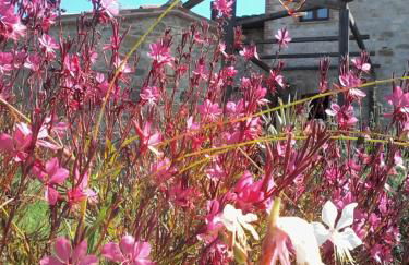 Agriturismo Valiana - Foto 67