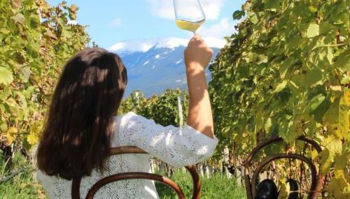 RÖCK Weingut - winery - Foto 4