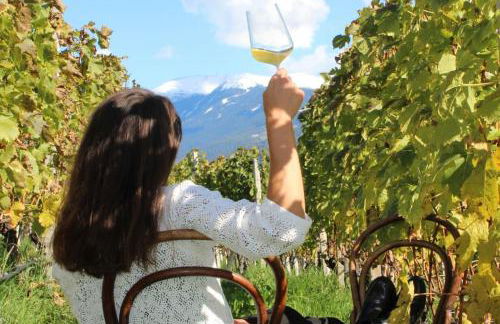 RÖCK Weingut - winery - Foto 4