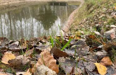 Wakacyjny Dom w Sakach - Foto 24