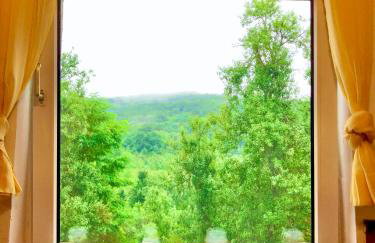 Guesthouse D&D - Foto 28