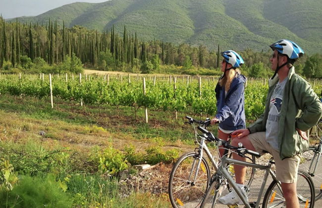 Exclusive Villa with Private Pool & Huge Fenced Property near Dubrovnik - Foto 44