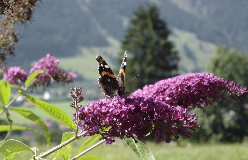 Bad Hindelang - Foto 47