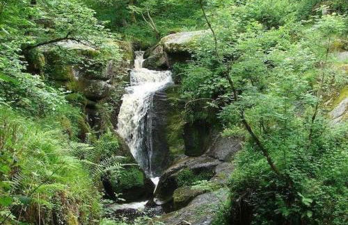 Appartement rouge avec jardin - Foto 8