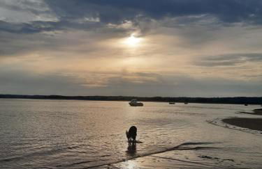 Le Chalet du Clos Giot - Foto 21