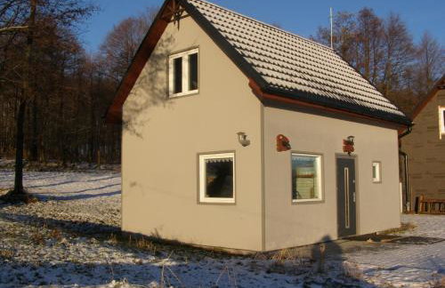 Domek w Karkonoszach nad stawem - Foto 35