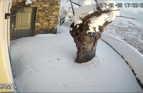 Balkonikarystos (To Mpalkoni tis Karistou) - Foto 58