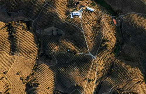 Acushla Golden House Douro - Foto 43