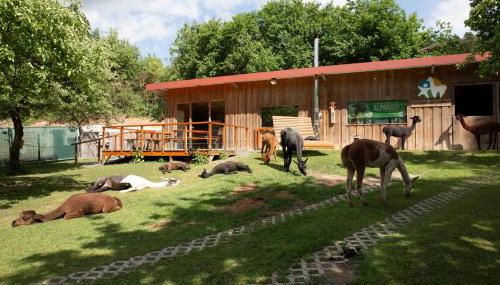 Pirker Anden Chalet - Foto 3, Garden