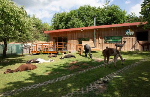 Pirker Anden Chalet - Foto 3