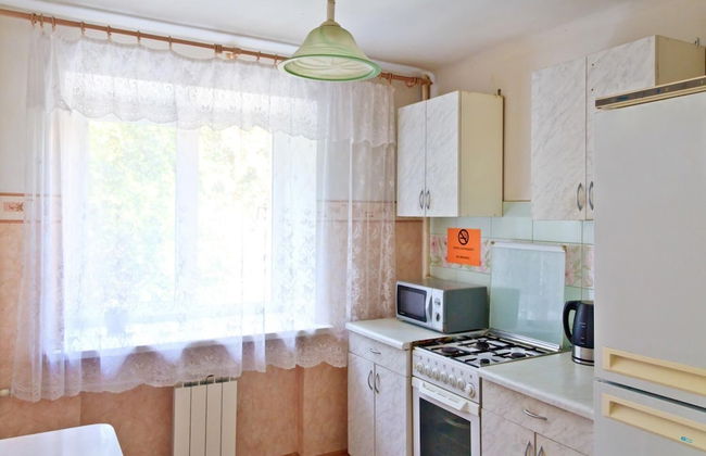 Apartment ALLiS-HALL on Pervomayskaya 70 - Foto 10