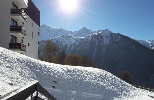 Paradiski calme et ensoleillé plan peisey - Foto 10
