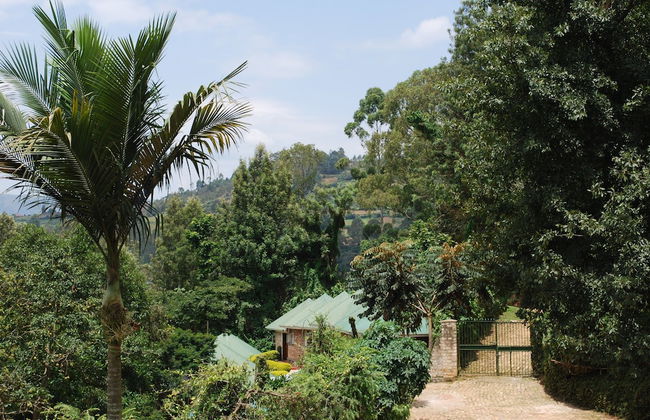 Crater Bay Cottages - Photo 69