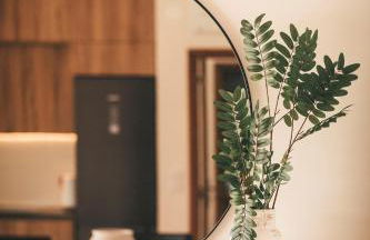 Vale Pisco - Photo 76