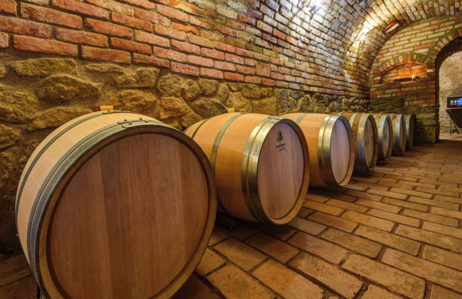 Charming Czech Countryside Retreat in Znojmo - Photo 8