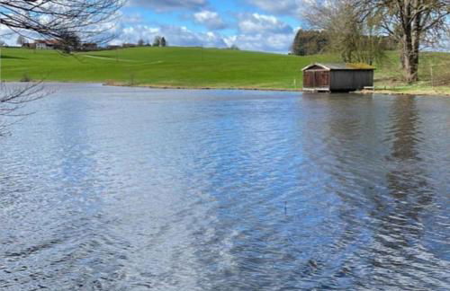 Schöne helle Ferienwohnung - Foto 40
