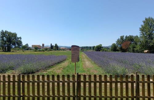 L'Antico Fienile - Foto 11