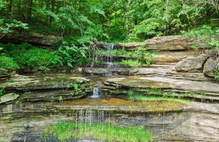 Pole Barn - Rustic 1BR Family Retreat with Open Views - Foto 70