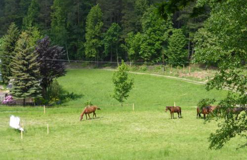 Za Siódmą Górą - Foto 54