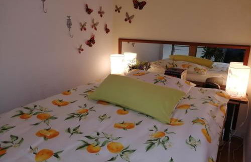 KyllHof Angelsen - Foto 11