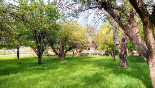 Charming Tropic Home by a Farm Near Bryce Canyon! - Foto 3