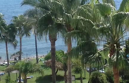 Mi Capricho - Photo 39