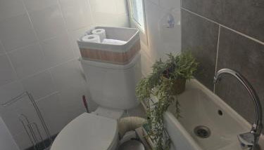 Le petit versaillais - Foto 4