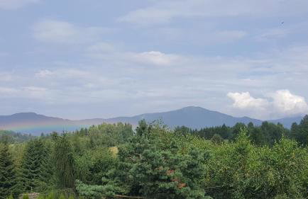 Dom Malowany domki - Foto 34