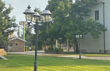 Bosco Elda - Foto 35