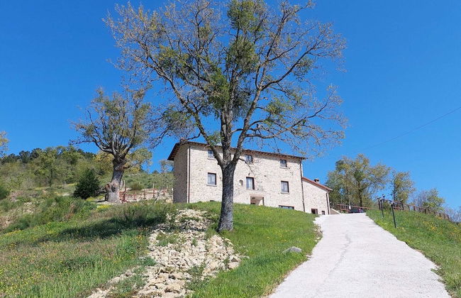 Belvilla by OYO Poggio Marino - Photo 39