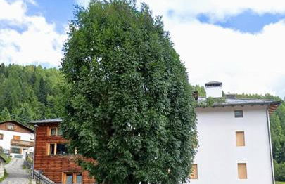 Beautiful apartment in Zoldo Alto Dolomites - Foto 1